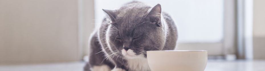 kvv of barf verschil