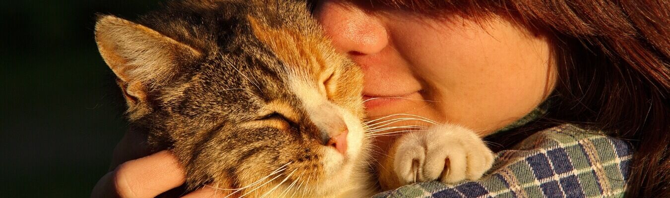 houdt mijn kat van me